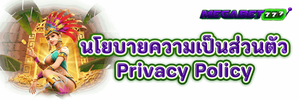 นโยบายความเป็นส่วนตัว